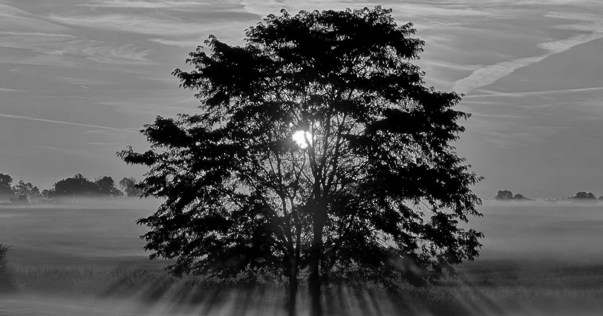 Arete Purpose l Franklin, Indiana